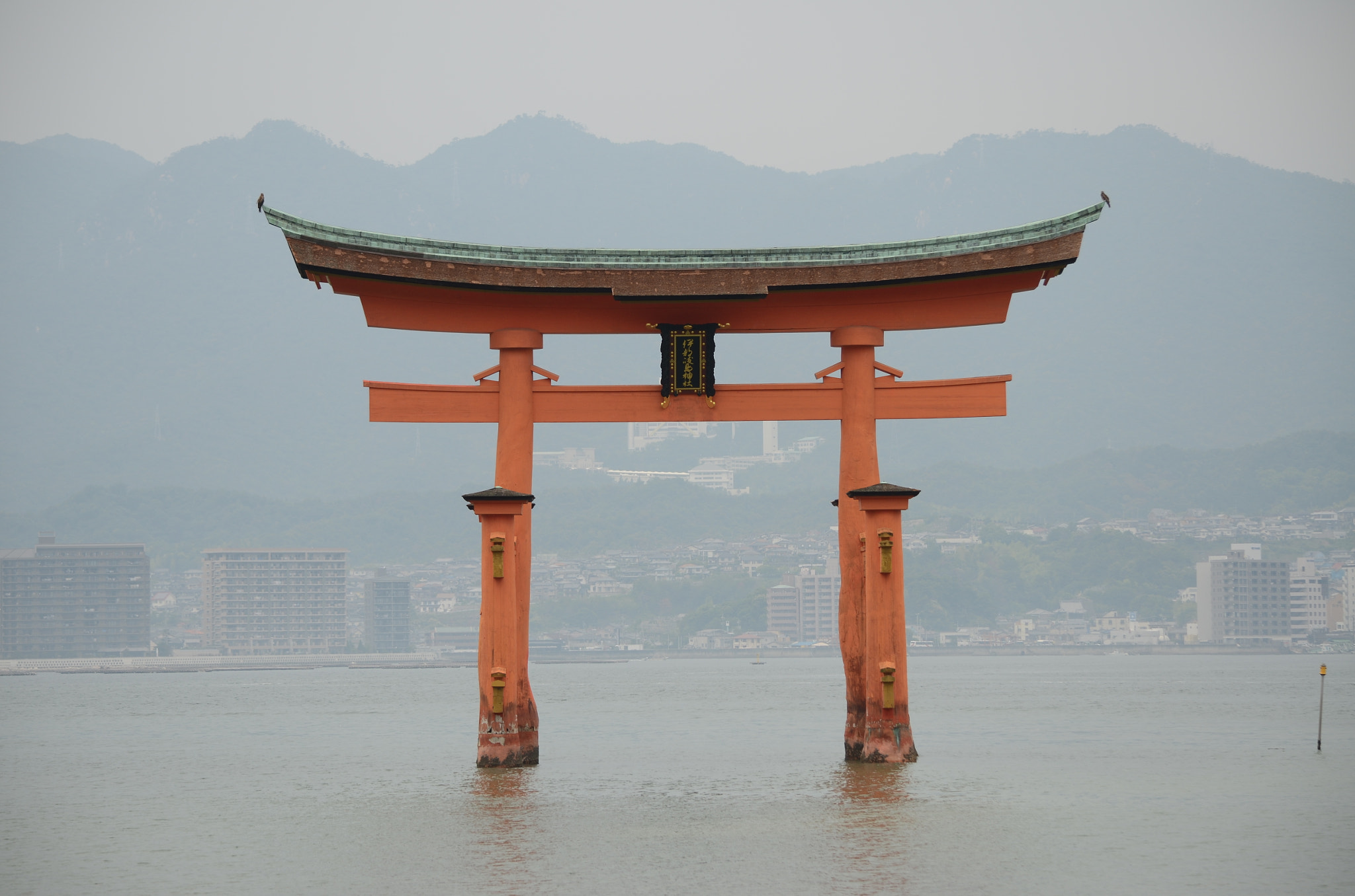 The Enchanting World of Torii Gates in Japan - The Art of Zen The Enchanting World of Torii Gates in Japan - The Art of Zen
