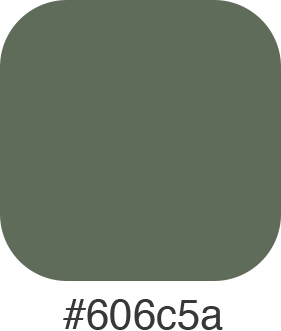 Japandi Color Swatch 606c5a