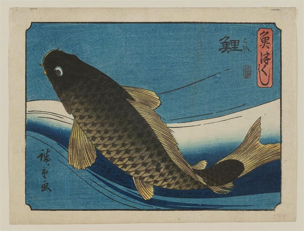 Koi fish ukiyo-e by Utagawa Hiroshige