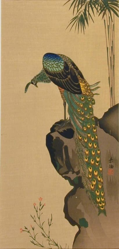 Yamaguchi Soken - Peacock