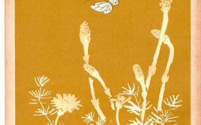 Tansai Gafu: A Forgotten Design Album of Shōwa Japan