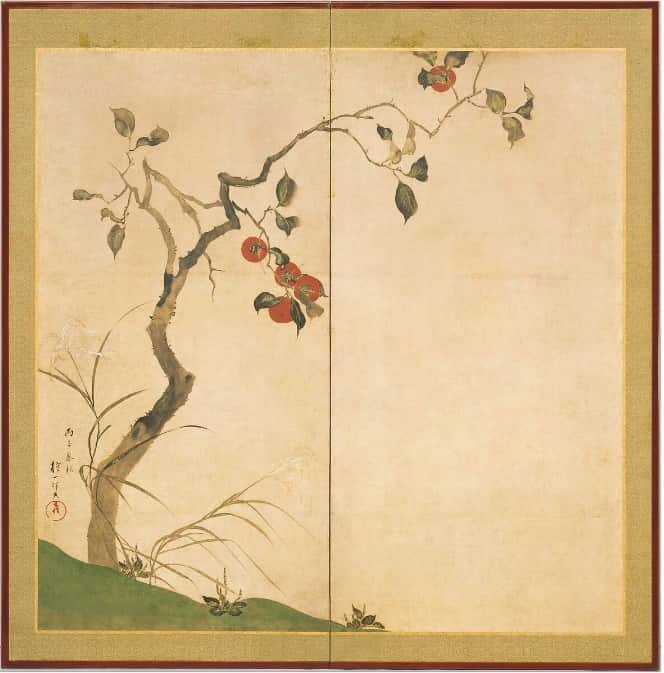 Persimmon Tree - Sakai Hōitsu, 1816